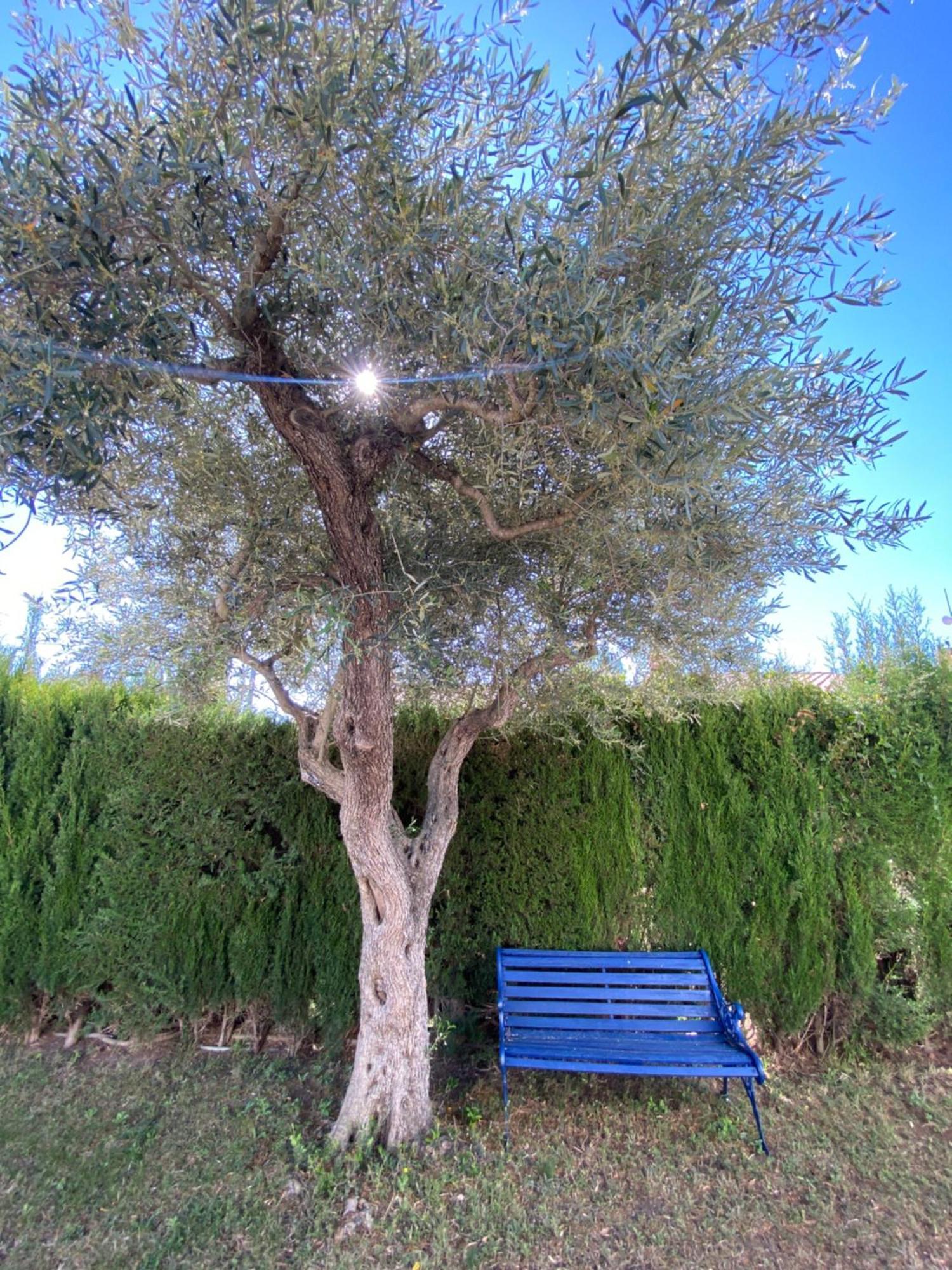 Villa Caramonte, En Costa Dorada Les Tres Cales 外观 照片